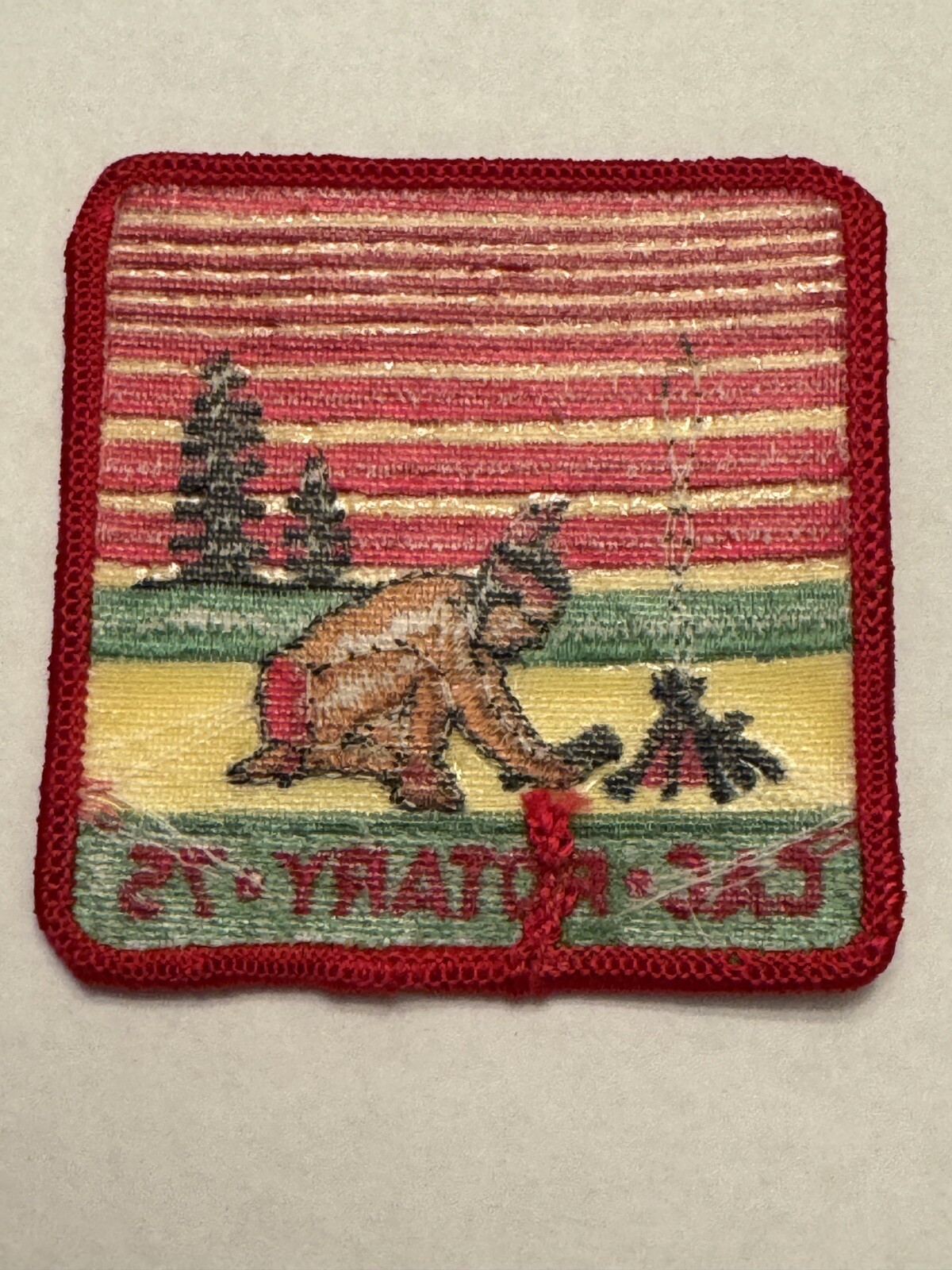 Foto 2 di 2