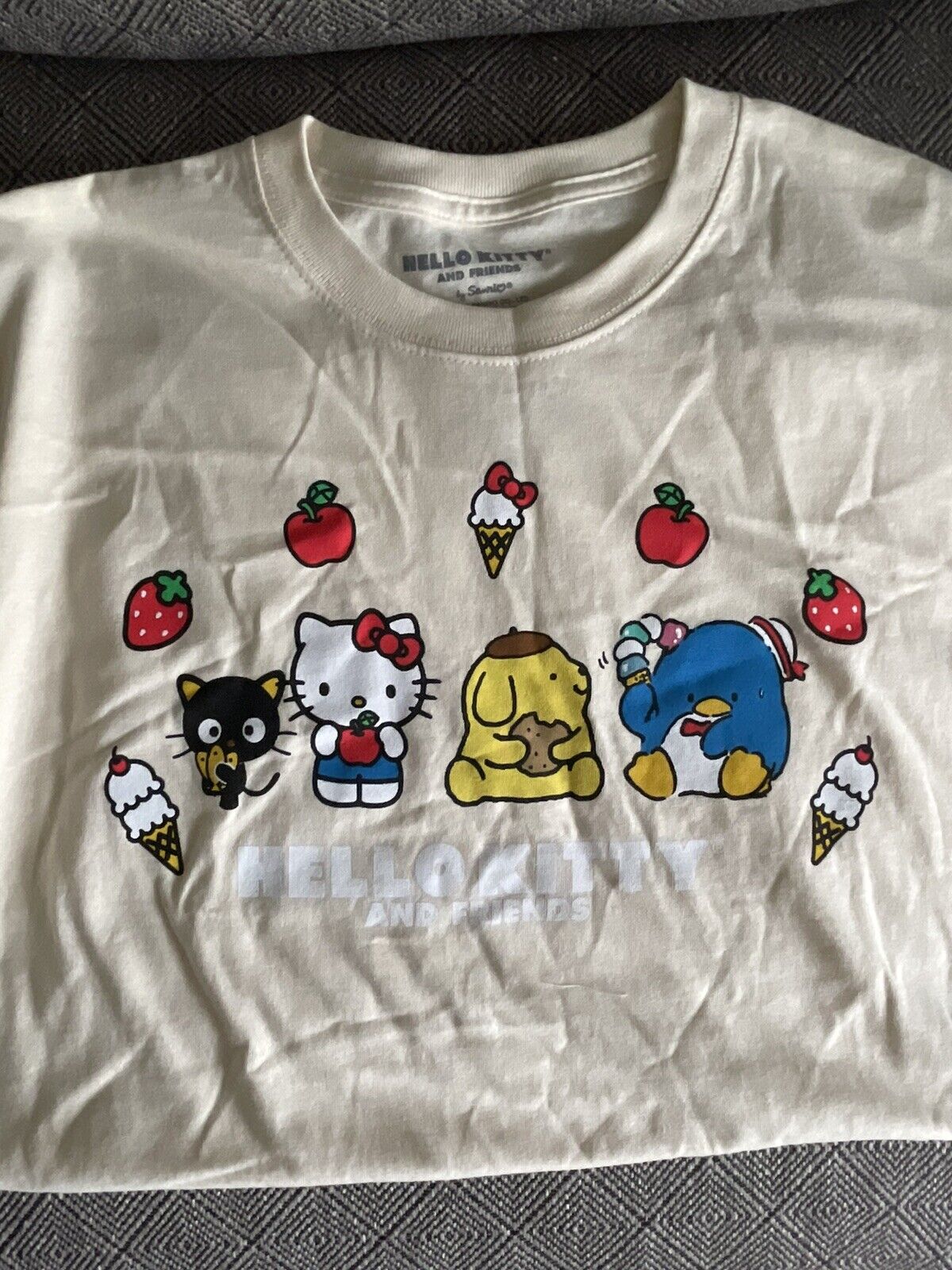  Sanrio T-Shirt Club Subscription – Men – Large : Clothing,  Shoes & Jewelry