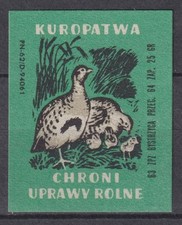 Etiqueta de sello póster u3447/Polonia # perdices pájaro
