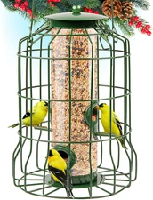 Bird Squirrel Feeder Proof for outside Hanging, 1.25 Lb Capacity for Small Birds