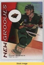 2024-25 Upper Deck SP Game Used New Grooves Red Liam Ohgren #NG-7 READ 1r1g
