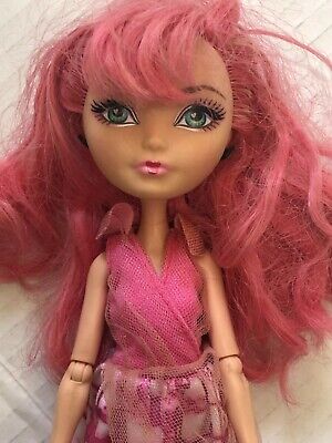 Mattel 2012 Ever After High C A Cupid First Chapter Doll 11 inches