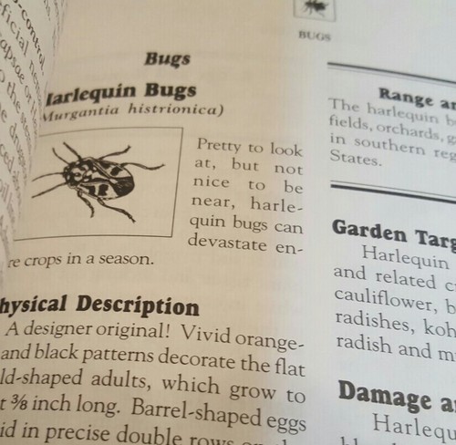 Bugs Slugs and Other Slugs Paperback Excellent Condition - Imagen 3 de 4