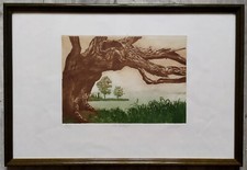 Tableau gravure numérotée 78/100 signée Alexander M. Wood  Old Willow