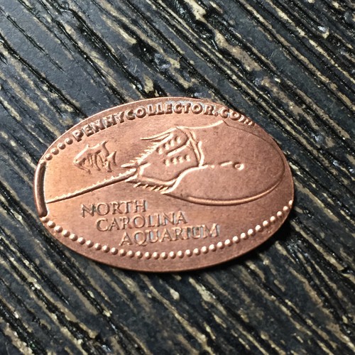 North carolina aquarium Pressed smashed elongated penny P8242 eBay