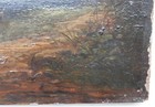 Bild 6 von 12