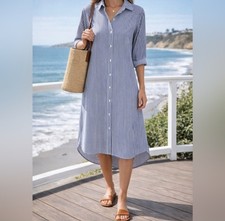 Everlane The Daytripper Shirt Dress Blue White Striped Cotton Long Sleeve Size 2