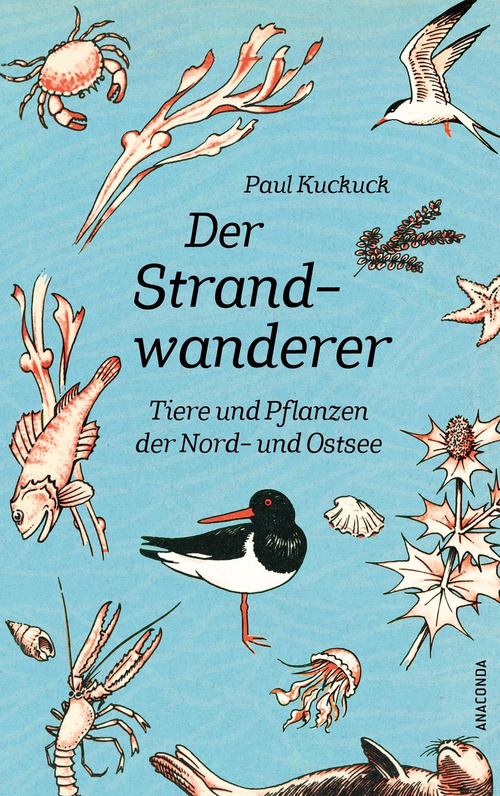 Der Strandwanderer. Tiere und Pflanzen der Nord- und Ostsee Paul Kuckuck