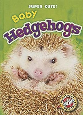Baby Hedgehogs Library Binding Megan Borgert-Spaniol
