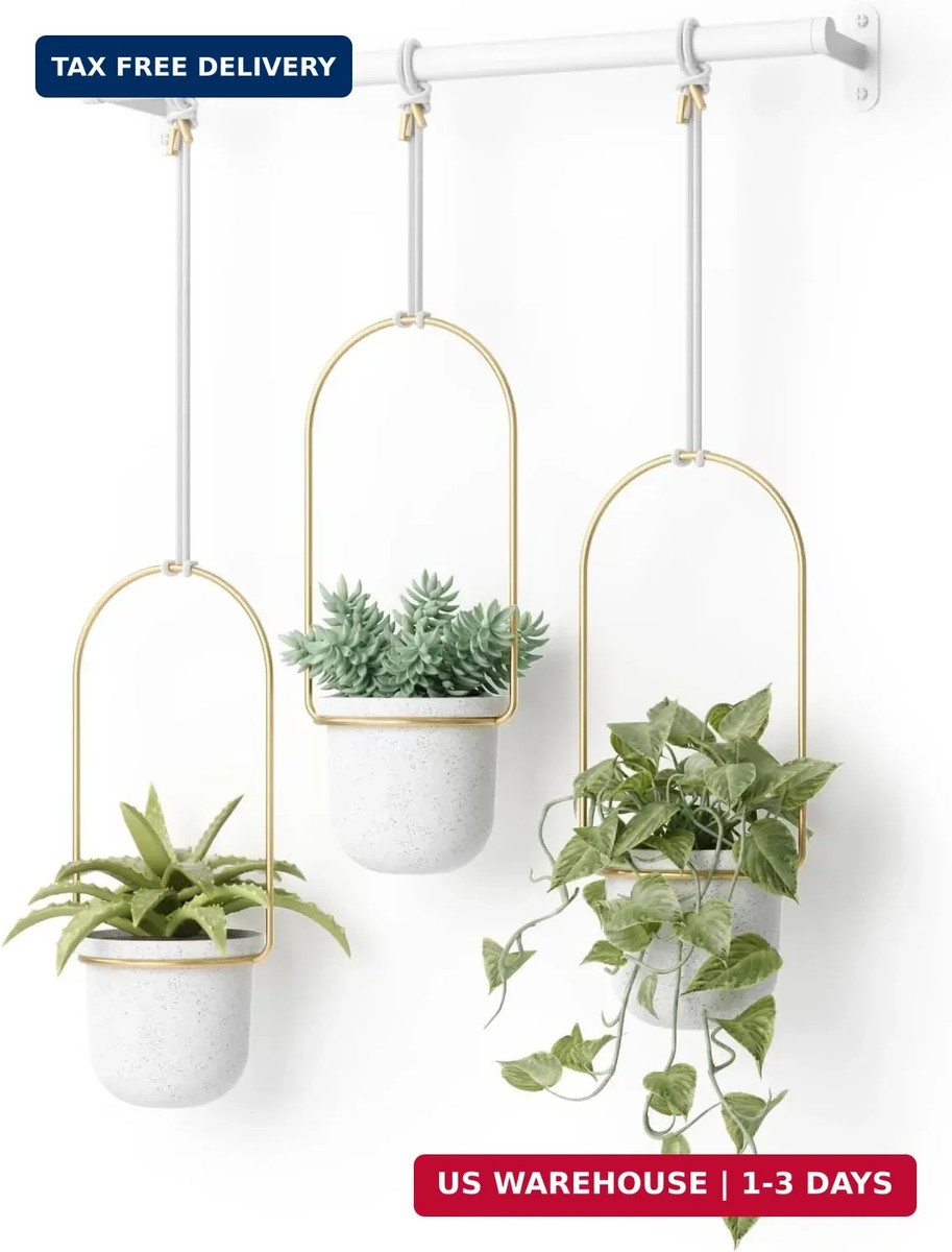 lighting for terrarium plants LED Cork Terrarium Lid
