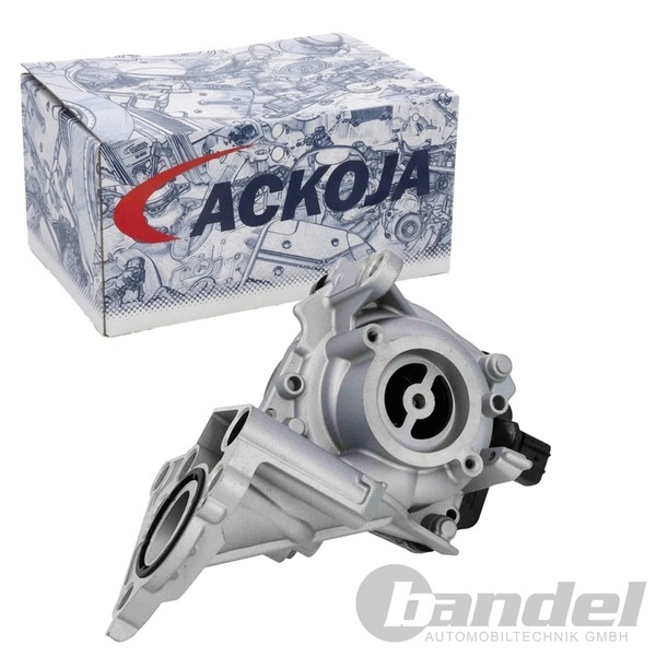 Ackoja Wasserpumpe Passend FüR Lexus Es Nx Toyota Camry Highlander Rav 4-image