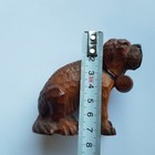 Bild 14 von 17
