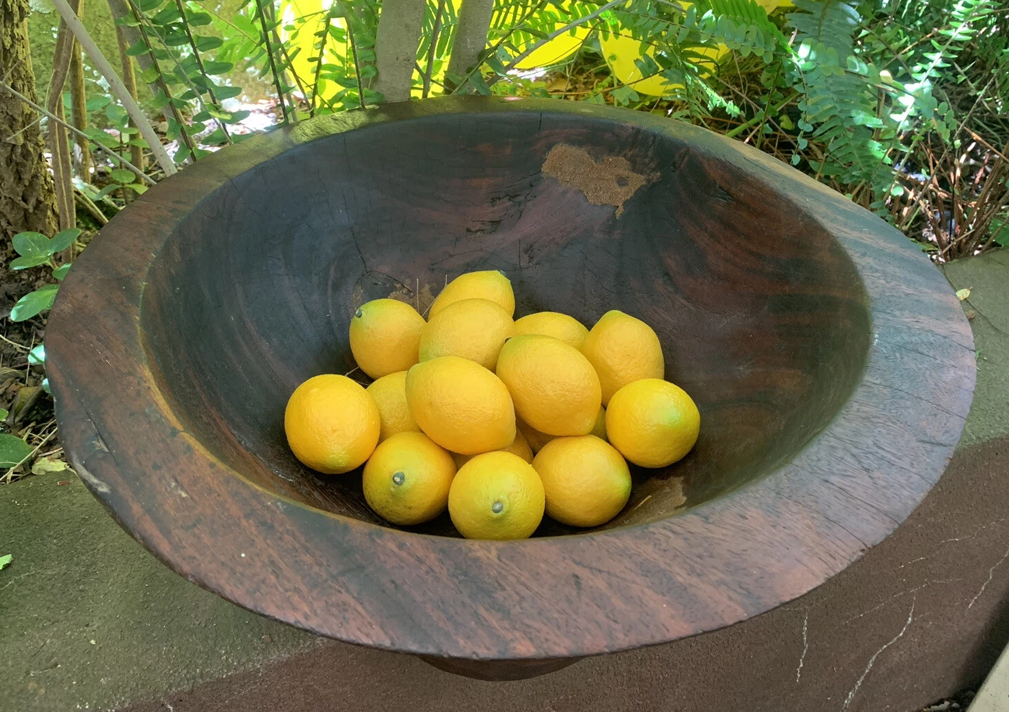 Picture 5 of 11