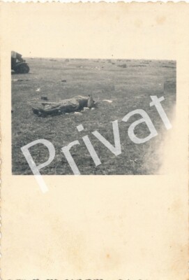 Foto WK2 Gebirgsjäger Division 1./99 Schlachtfeld Verwundete Uman Умань M1.22