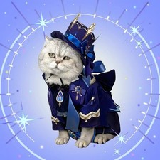 Genshin Impact Furina Cat Hat Clothes Dog Pet Cosplay Costume Dress up Costumes
