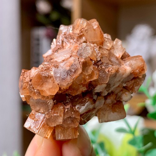 45G Large Brown Aragonite Sputnik Crystal Cluster- Raw Natural Mineral Specimen - Picture 19 of 20