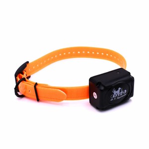 dt dog collars