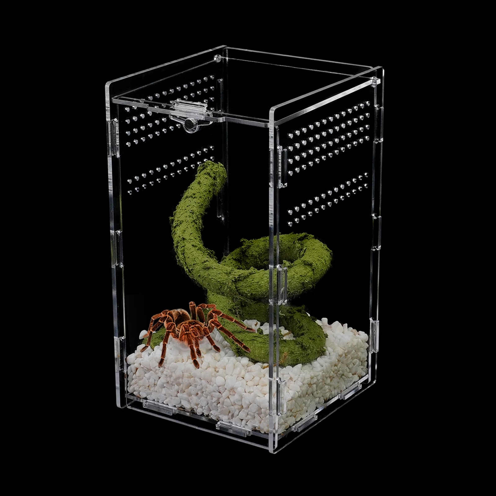 Micro Habitat Terrarium Enclosure Jumping Spider Enclosure with Locking Latch...