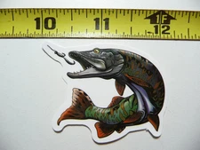 SALMON READY TO BITE LURE FISH FISHING SMALL STICKER DECAL SPORT HOBBY FAN