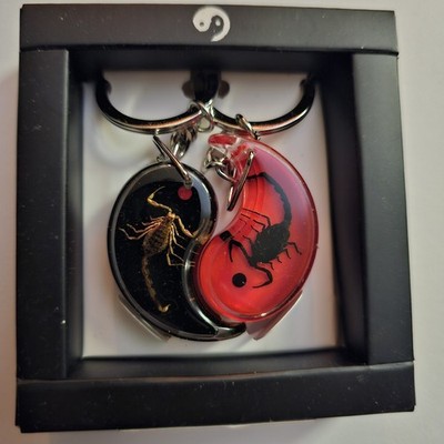 Real Insect Friendship Keychain Set Ying Yang Red wBlack Scorpion Black wBrown 