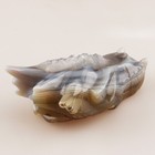 Foto 4 di 8