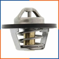 Thermostat Renault AVANTIME