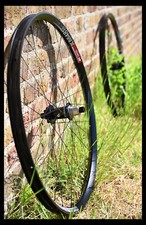 HANDBUILT Erase Ti CL disc MTB hubs DT  XM481 rims 29" Alpina Extralite