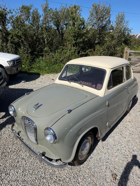 Image Placeholders2_edited.jpg