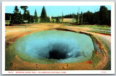 Morning Glory Pool Yellowstone National Park Wyoming VINTAGE Postcard