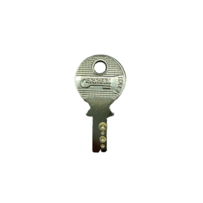 MS1 Switch Key Replacement