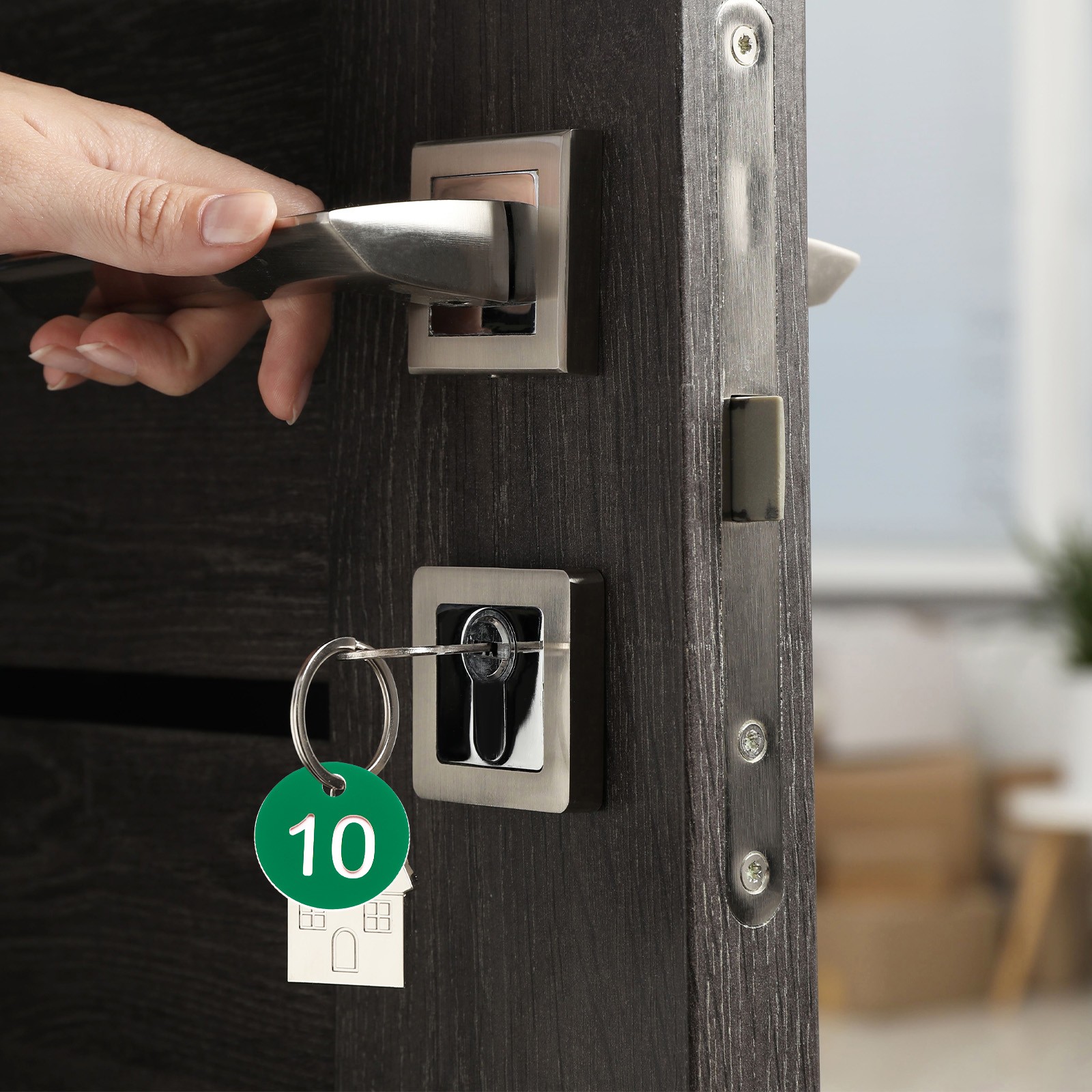 Numbers Key Tags, 0-50 Plastic ID Hang Tag Numbered Tags(Green & White)