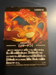 Lizardon | eBay