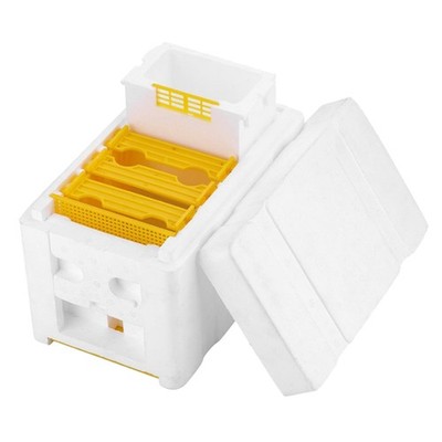 Bee Hive Imkerei King Box Bestäubungsboxen Schaumstoff-Imkerei-Werkzeuge
