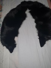 COLLO PELLICCIA di volpe nero