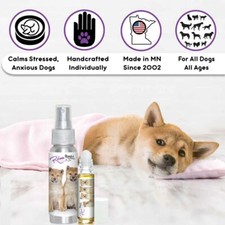 Shiba Inu Relax Dog Aromatherapy  Calms Your Frightened, Scared Anxious Dog