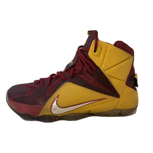 lebron james 12 shoes