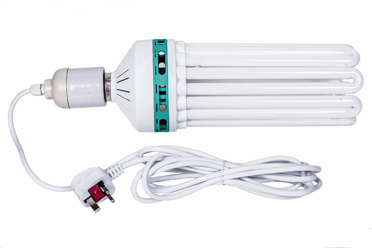 Cfl 250w dual spectrum deals