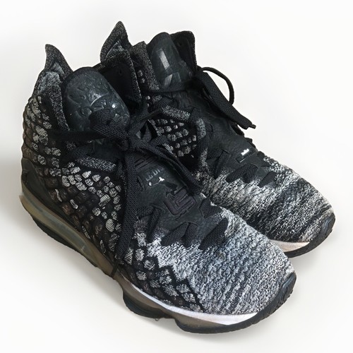 Size 10 - Nike LeBron 17 In The Arena