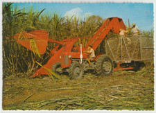 Australia QUEENSLAND QLD Tractor Harvesting SUGAR CANE Murray Views postcard '70