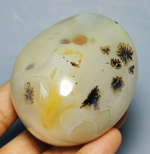 Natural polished Amazing Moss Agate Sphere Palm Stone Reiki Healing - Picture 6 of 12
