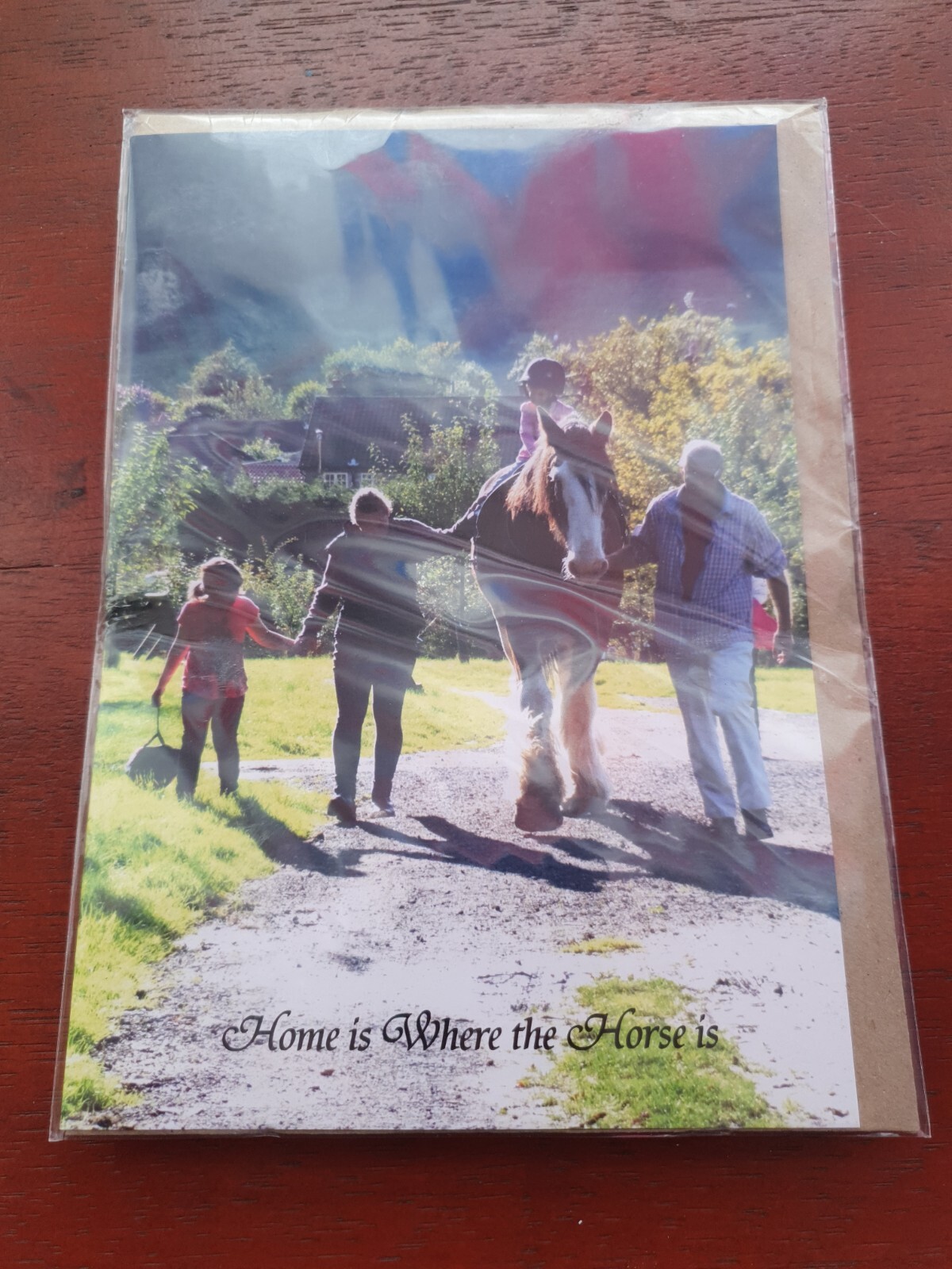 Horses birthday card funny card Home is Where the Horse is BLANK greetings card