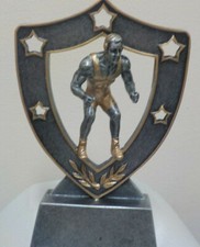 wrestling trophy, award, shield shaped, your engraving included, 6.25" tall