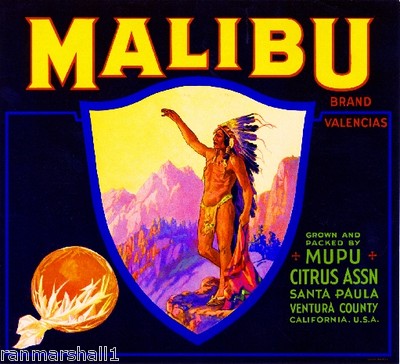 See All In Advertising Collectables Santa Paula Ventura County Mupu Malibu Orange Citrus Fruit Crate Label Art Print Collectables Sloopy In