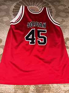 Jordan 45 Jersey Champion | eBay