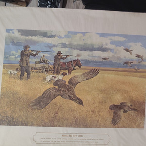 Frederic Remington Prairie Chickens Print Western Birds Unframed 1990