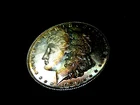 Jaw Dropping Beautifully Rainbow Toned Gem BU 1880S Morgan Silver Dollar O1