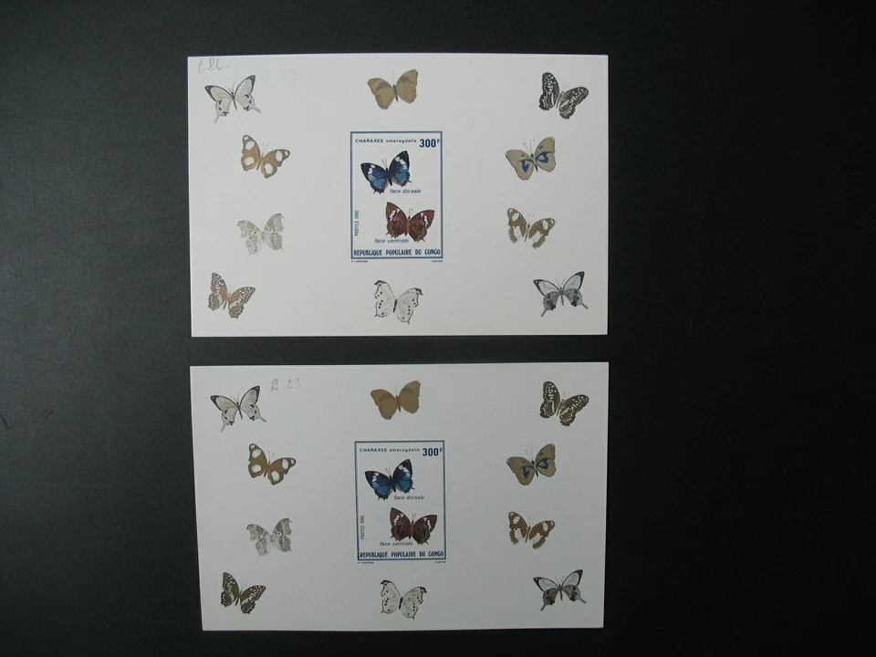 Congo épreuve de luxe du Bloc Feuillet N° 23 + BF N° 23 animaux Faune Papillons - Photo 1/1