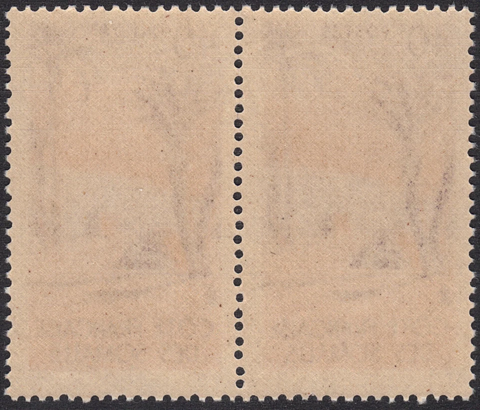 1947 Somali Cost-SC# 250 - Danakil Tent - pair - M-NH - Image 2 of 2