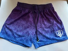 Men's Size Small Baseball Lifestyle 101 Athletic Shorts Purple & Blue Logo Lined