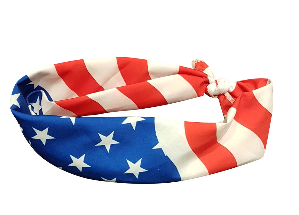 Peluca Willie Nelson con Bandana Gris Oficial Fiesta Country Disfraz EE. UU. Foto 2 de 2